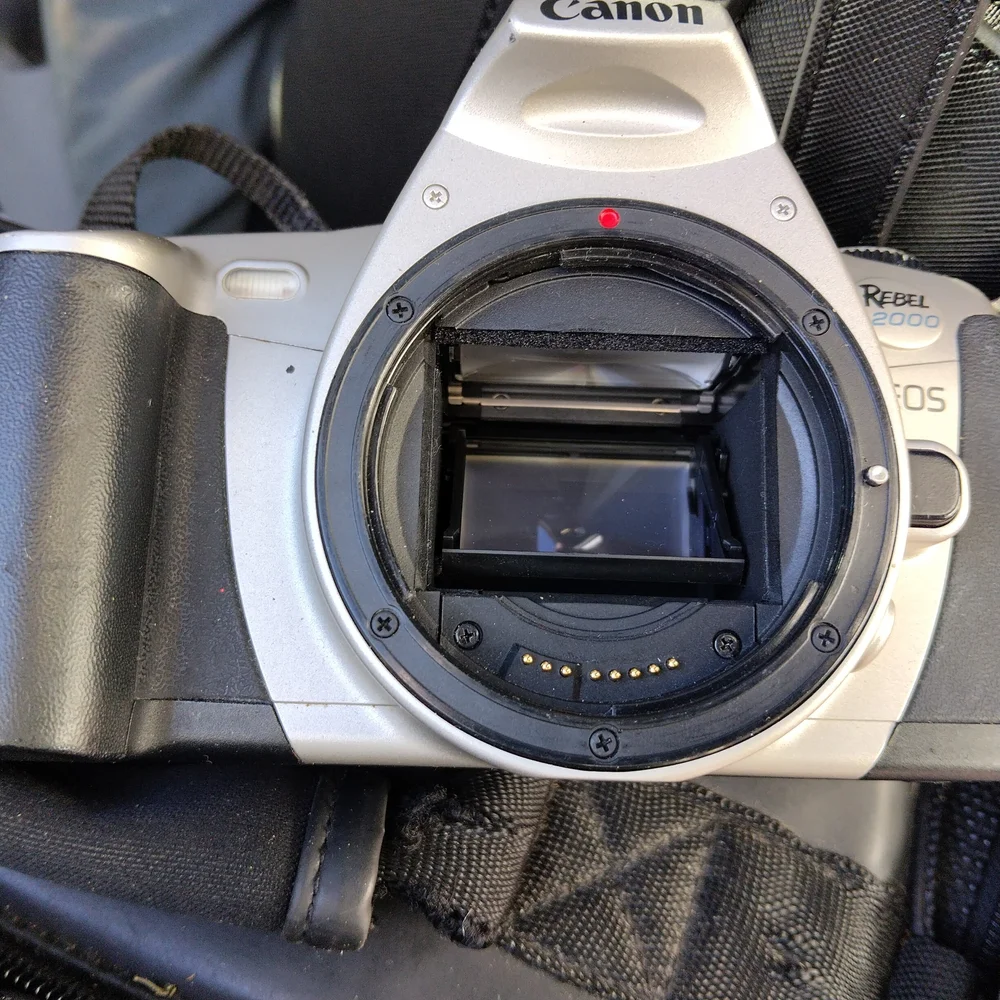 Canon Black and Silver Lens Camera